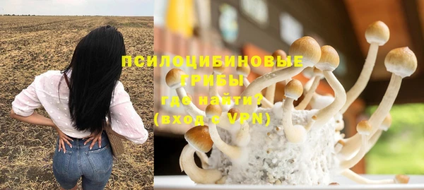 а пвп мука Баксан