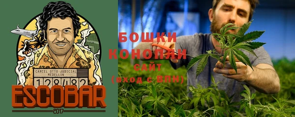 мдпв Балабаново
